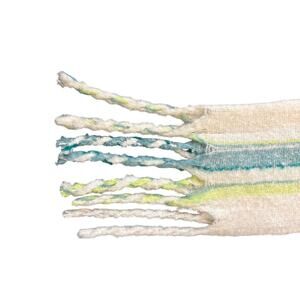 Target NWT Striped Fringe Scarf Blue Green White